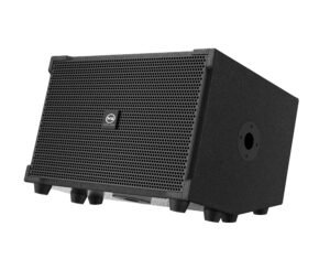 M9 Instrument Singing Active Speaker