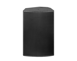 12-inch bar party performance speaker